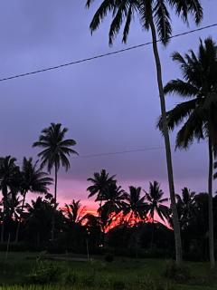 Rice Field inn - Lombok - Tetebatu - 8