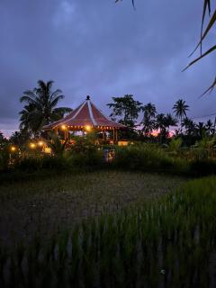 Rice Field inn - Lombok - Tetebatu - 7
