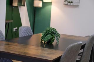 Modern Spacious Apartment, Free Parking, WiFi - 5