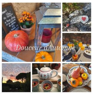 La Vie en Couleurs Chambre d'hôtes, gîte - 9