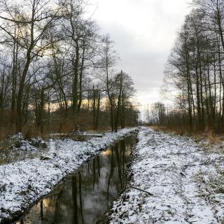 Masuria Warsaw Family - 3