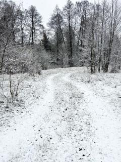 Masuria Warsaw Family - 2