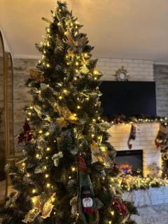 Hanul Anei - entire property - 9