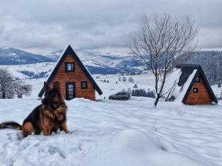 Čarobna jutra Zlatara 2 - 2