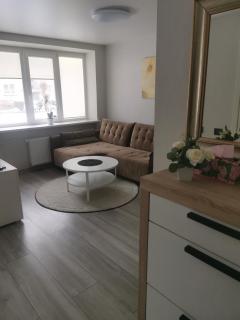 Buto nuoma Plungėje - 8