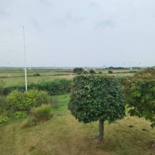 Horse Estate Farm Stay - Beautiful Surroundings - 6