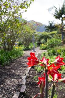 Storms River Self Catering Apartments - 5