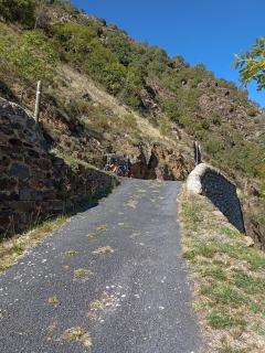 Ecogite du Mas de Trape - 8