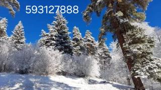 Cottage in Bakuriani - 8