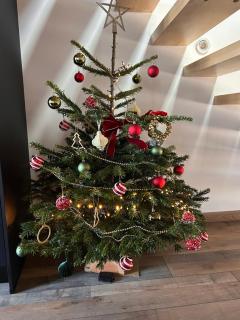 Apartement La Cuverie - 8