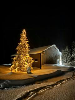 Moderne Hytte Ved Sjøen I Kvelia - 6