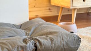 Molina Molinísimo - 3