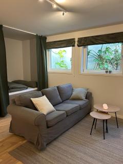 Villa Hagavik, studio apartment Peter - 9