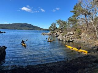 Villa Hagavik, studio apartment Peter - 3