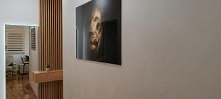 Royal lux apartman Beograd - 3