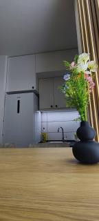 Royal lux apartman Beograd - 4