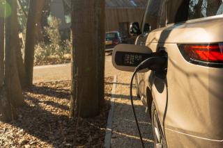 Suite - 2 personen - Woodz Lodges - 9