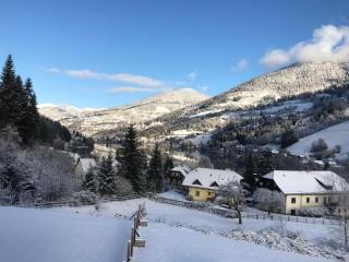 Berghaus Seeblick - Feld am See - 8