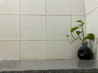 thepandabackpecker - 1