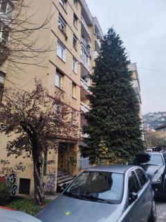 Ma Bel Apartments Sarajevo - 6