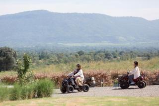 Mint camper car mine hills2 - 4