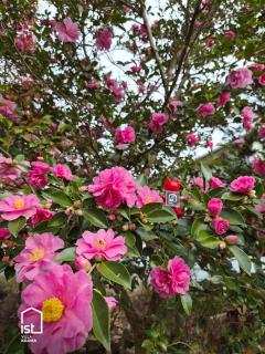 ist villa 07 Hilltop Lookout Sleeps 7 - 0