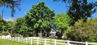 Soul Soothing Valley - 3