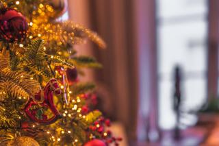 B&B Number 11 Exclusive Guesthouse - 8