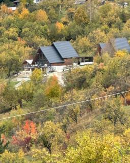 Belvedere Garden - 2