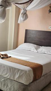 Loiusiana City Hotel - 2