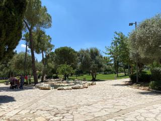 Adama by Sweett - Hillel - 2