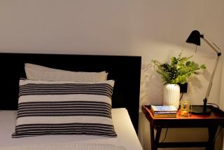 Fully Renovated Private Swanky Ribnjak Apartment - 4