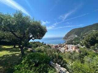Villa Renata - amazing sea view, garden, terrrace - Monterosso al Mare - 6