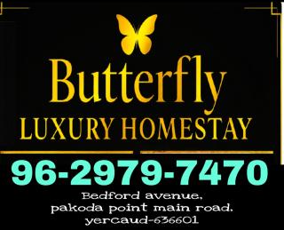 Butterfly luxury homestay - 3