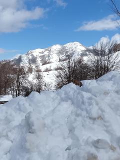 les chalets et gite du haut taravo - 7