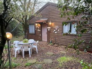 בקתת היערן- בטבע פראי למשפחות ולזוגות - 0