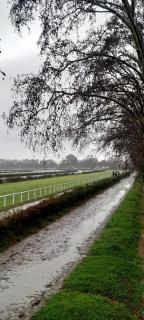 Lomas golf con parrilla - 9