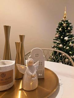 Elegant City Center Apartment - 1