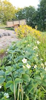 Cabaña en Pumalal - 8