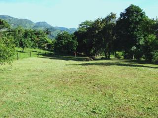 Finca Río Dulce - 9