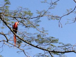 Finca Río Dulce - 5