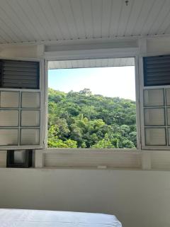 La maison du sud - 7