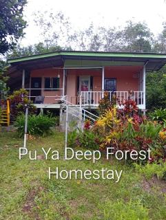 Pu Ya Deep Forest Homestay - 0