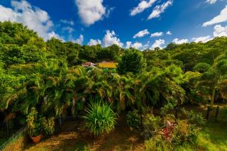 Pom'kanelle - Le Gosier - 6