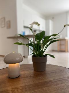 Appartamento completo, ben attrezzato con giardino - San Michele allʼAdige - 7