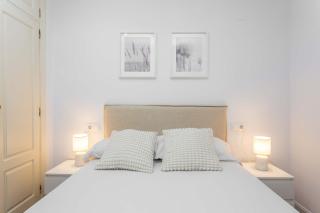 Cozy 1BD Apartment in Alonso Martínez - 8