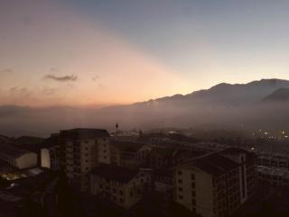 Velvet Rose Home - 2