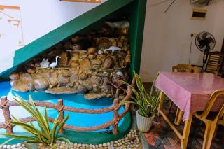 Sanda Hiru Guest - 8