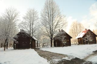 Bogolvar Retreat Resort - 3