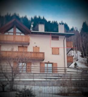 Teola alta Valtellina - 1